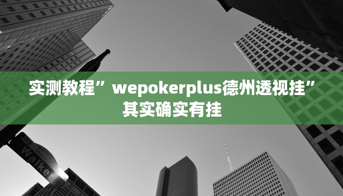 实测教程”wepokerplus德州透视挂”其实确实有挂