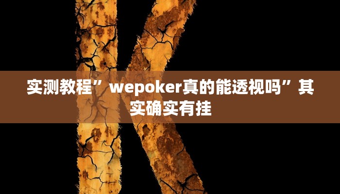 实测教程”wepoker真的能透视吗”其实确实有挂