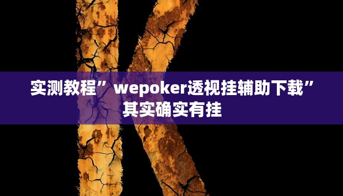 实测教程”wepoker透视挂辅助下载”其实确实有挂