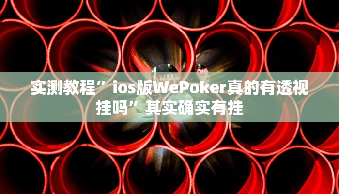 实测教程”ios版WePoker真的有透视挂吗”其实确实有挂