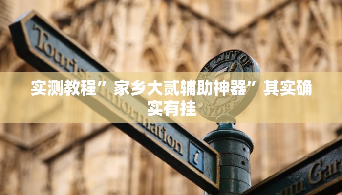 实测教程”家乡大贰辅助神器”其实确实有挂