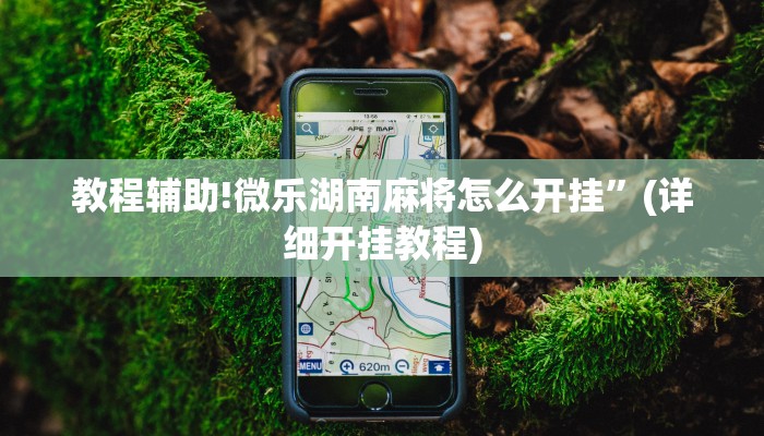 教程辅助!微乐湖南麻将怎么开挂”(详细开挂教程)
