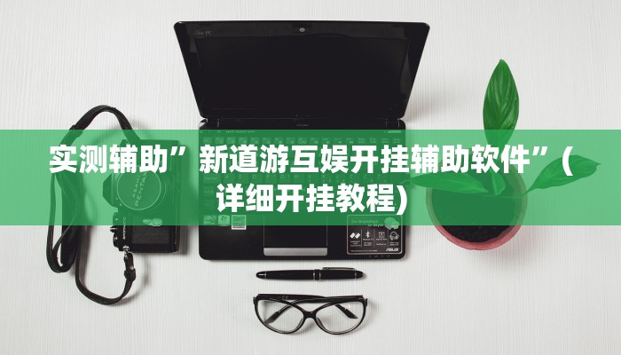 实测辅助”新道游互娱开挂辅助软件”(详细开挂教程)