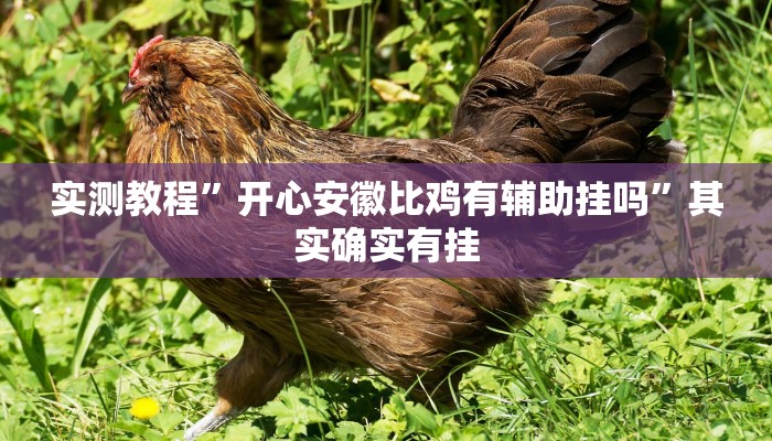 实测教程”开心安徽比鸡有辅助挂吗”其实确实有挂