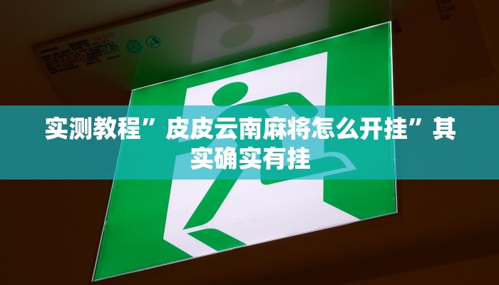 实测教程”皮皮云南麻将怎么开挂”其实确实有挂