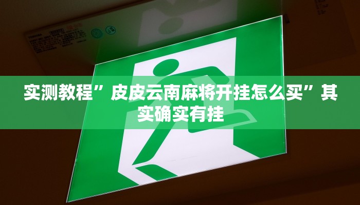 实测教程”皮皮云南麻将开挂怎么买”其实确实有挂