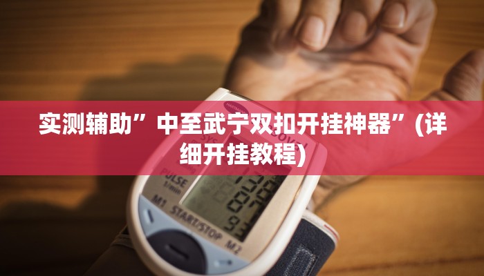 实测辅助”中至武宁双扣开挂神器”(详细开挂教程)