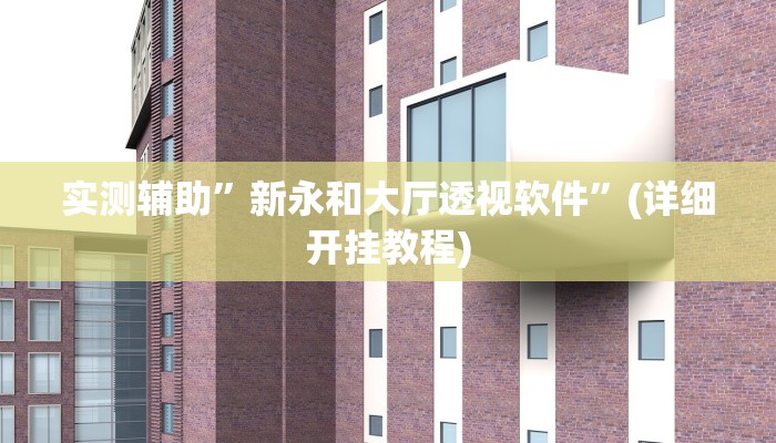 实测辅助”新永和大厅透视软件”(详细开挂教程)