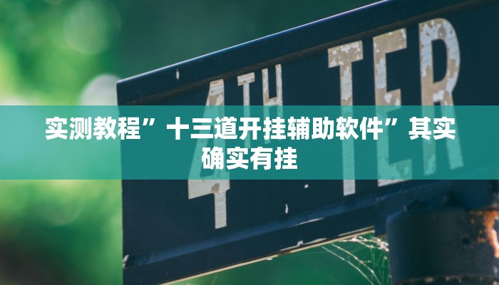 实测教程”十三道开挂辅助软件”其实确实有挂