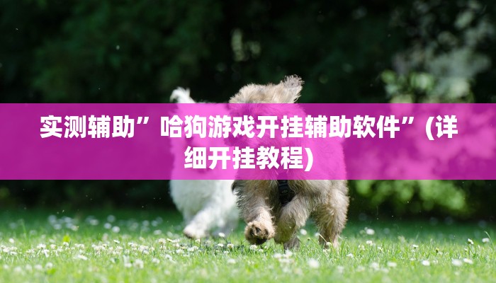 实测辅助”哈狗游戏开挂辅助软件”(详细开挂教程)
