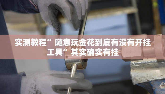 实测教程”随意玩金花到底有没有开挂工具”其实确实有挂