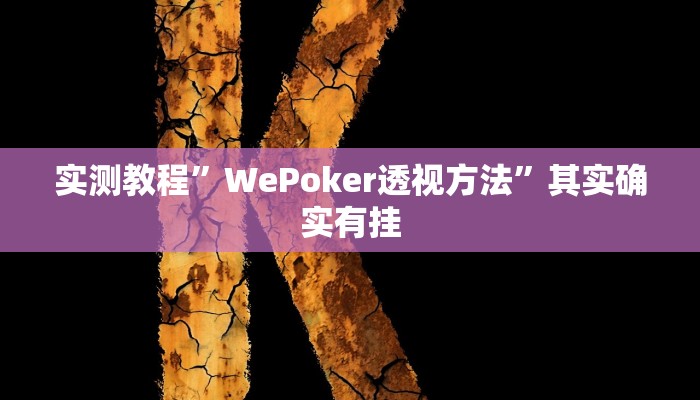 实测教程”WePoker透视方法”其实确实有挂