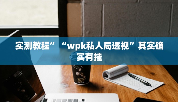 实测教程”“wpk私人局透视”其实确实有挂
