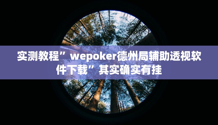 实测教程”wepoker德州局辅助透视软件下载”其实确实有挂