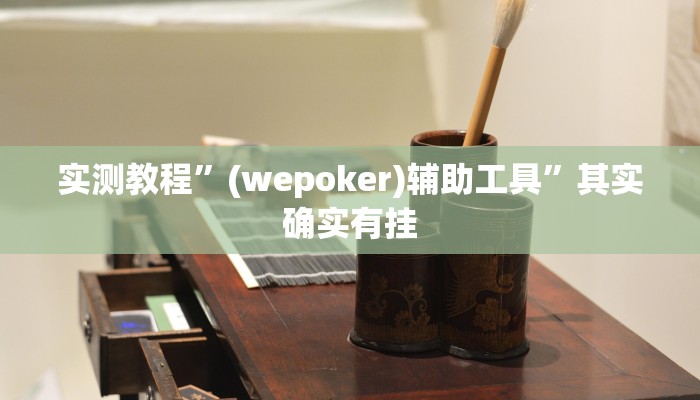 实测教程”(wepoker)辅助工具”其实确实有挂