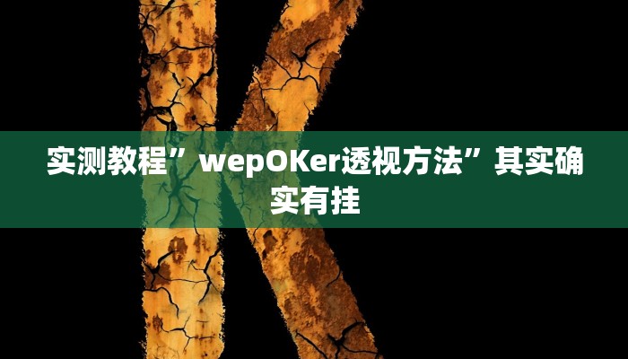 实测教程”wepOKer透视方法”其实确实有挂