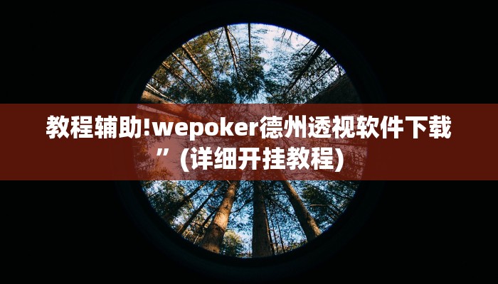 教程辅助!wepoker德州透视软件下载”(详细开挂教程)