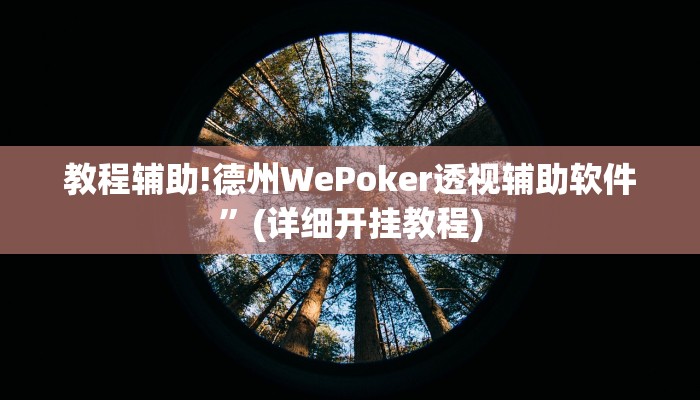 教程辅助!德州WePoker透视辅助软件”(详细开挂教程)