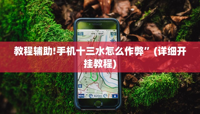教程辅助!手机十三水怎么作弊”(详细开挂教程)