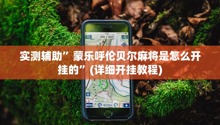 实测辅助”蒙乐呼伦贝尔麻将是怎么开挂的”(详细开挂教程)