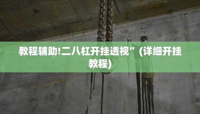 教程辅助!二八杠开挂透视”(详细开挂教程)
