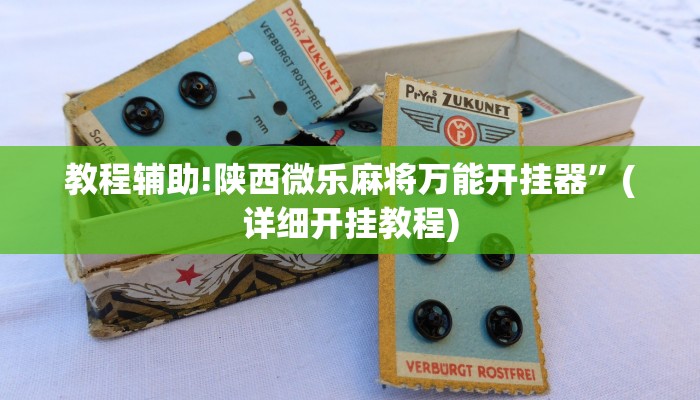 教程辅助!陕西微乐麻将万能开挂器”(详细开挂教程)
