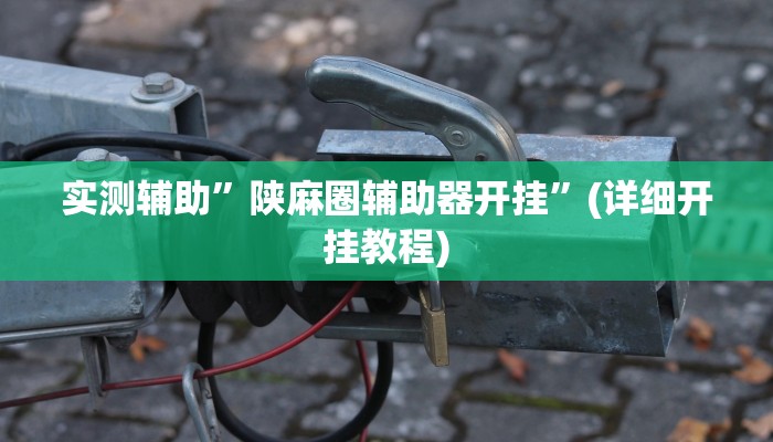 实测辅助”陕麻圈辅助器开挂”(详细开挂教程)