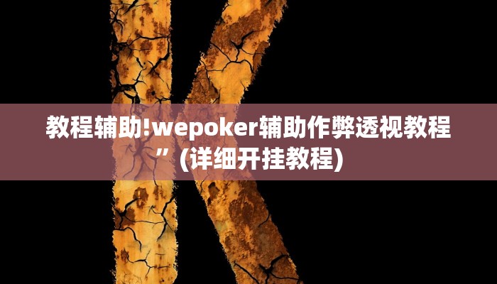 教程辅助!wepoker辅助作弊透视教程”(详细开挂教程)