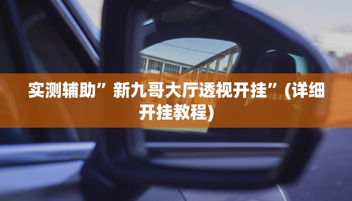 实测辅助”新九哥大厅透视开挂”(详细开挂教程)