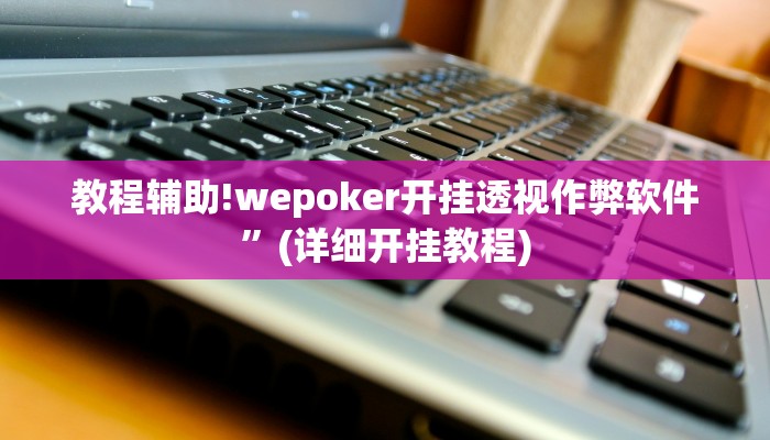 教程辅助!wepoker开挂透视作弊软件”(详细开挂教程)