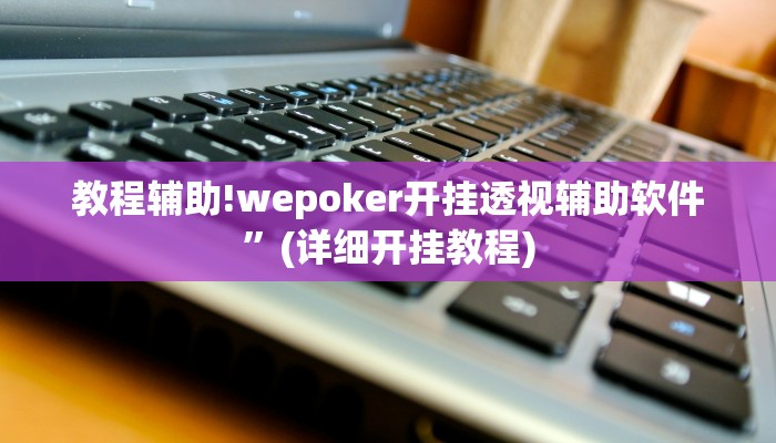 教程辅助!wepoker开挂透视辅助软件”(详细开挂教程)