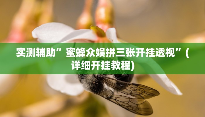 实测辅助”蜜蜂众娱拼三张开挂透视”(详细开挂教程)