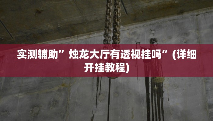 实测辅助”烛龙大厅有透视挂吗”(详细开挂教程)