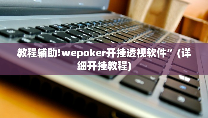 教程辅助!wepoker开挂透视软件”(详细开挂教程)