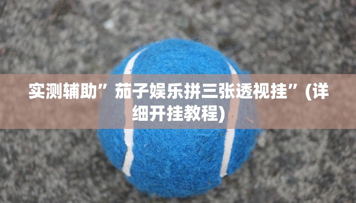 实测辅助”茄子娱乐拼三张透视挂”(详细开挂教程)