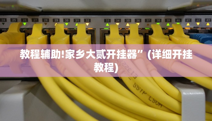 教程辅助!家乡大贰开挂器”(详细开挂教程)
