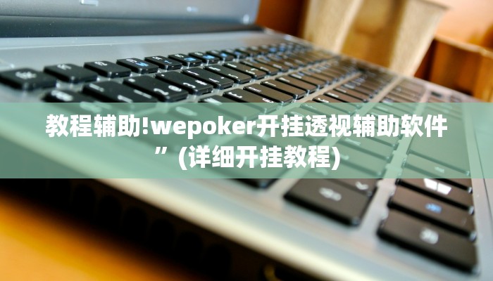 教程辅助!wepoker开挂透视辅助软件”(详细开挂教程)