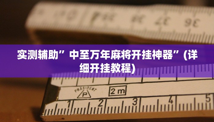 实测辅助”中至万年麻将开挂神器”(详细开挂教程)
