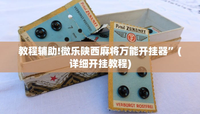 教程辅助!微乐陕西麻将万能开挂器”(详细开挂教程)
