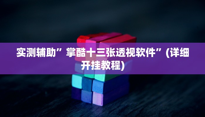 实测辅助”掌酷十三张透视软件”(详细开挂教程)