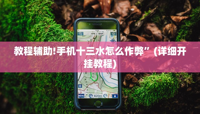 教程辅助!手机十三水怎么作弊”(详细开挂教程)