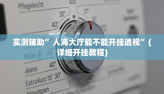 实测辅助”人海大厅能不能开挂透视”(详细开挂教程)