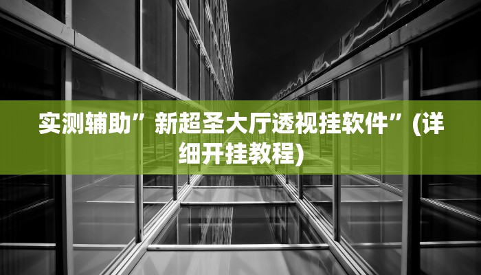 实测辅助”新超圣大厅透视挂软件”(详细开挂教程)