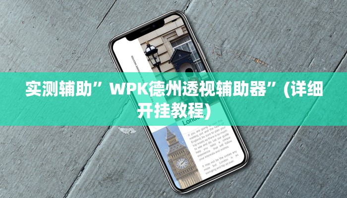实测辅助”WPK德州透视辅助器”(详细开挂教程)