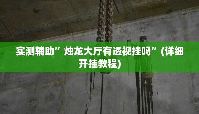 实测辅助”烛龙大厅有透视挂吗”(详细开挂教程)