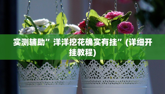 实测辅助”洋洋挖花确实有挂”(详细开挂教程)