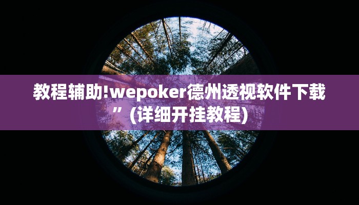 教程辅助!wepoker德州透视软件下载”(详细开挂教程)