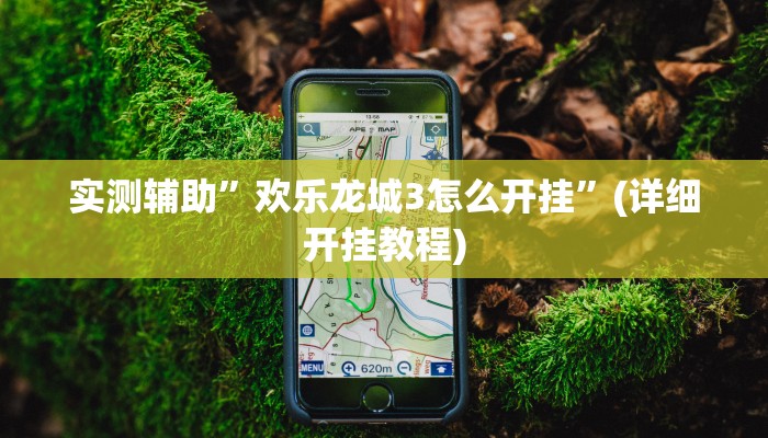 实测辅助”欢乐龙城3怎么开挂”(详细开挂教程)