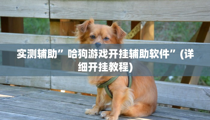 实测辅助”哈狗游戏开挂辅助软件”(详细开挂教程)