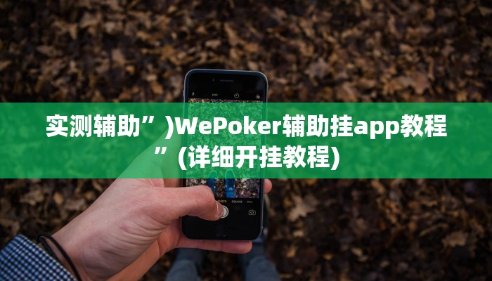 实测辅助”)WePoker辅助挂app教程”(详细开挂教程)